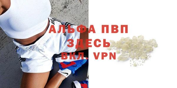 МДПВ Пересвет
