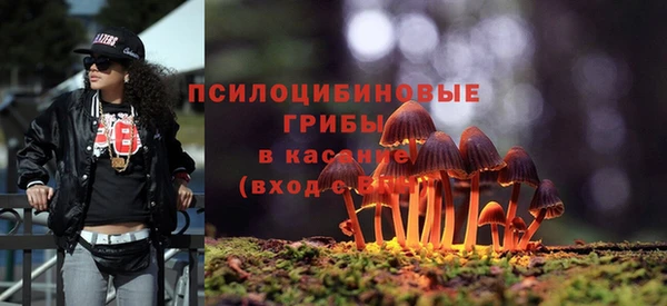 тгк Аркадак