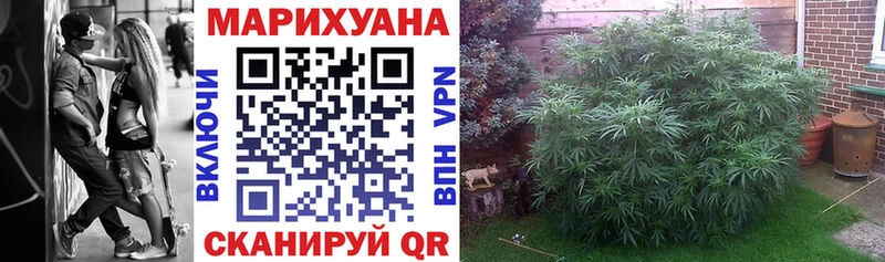 Шишки марихуана семена  хочу   площадка формула  Кондрово 